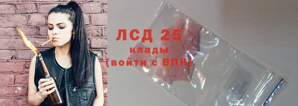 сатива Армянск