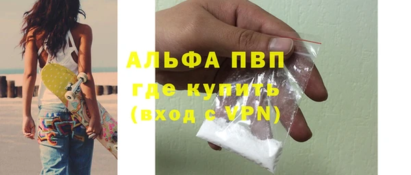 сатива Армянск