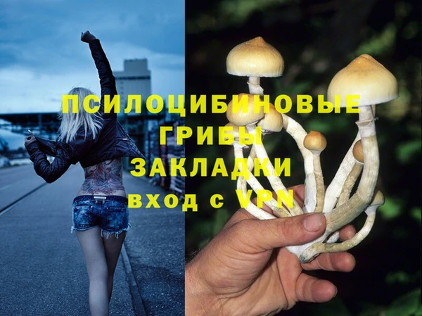 сатива Армянск