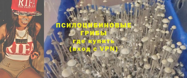 сатива Армянск