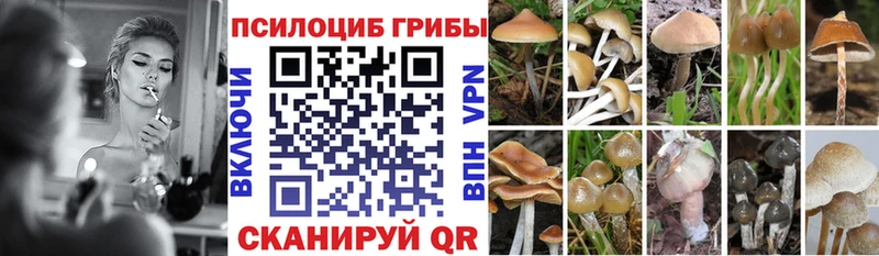 Псилоцибиновые грибы GOLDEN TEACHER  ОМГ ОМГ зеркало  Белоярский 